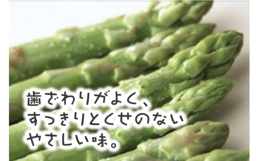 【2025年夏発送】北海道上ノ国町産 朝採り当日発送 刀祢農園の夏アスパラ　M～L（1.8㎏）