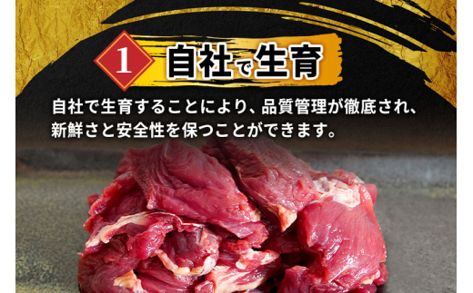 山形県 白鷹産【加熱用】馬肉 切り落としと馬肉ミンチのセット（合計約2kg）1袋・約200g入【冷凍発送】