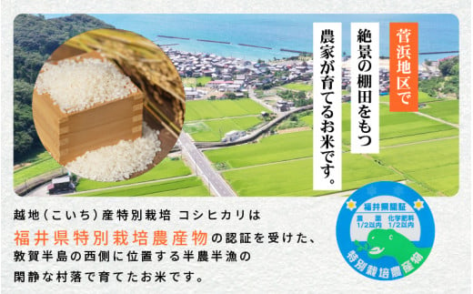 米 越地（こいち）産 特別栽培米 コシヒカリ 令和6年産 真空包装 2合 × 12個【キャンプ 保存 備蓄 防災】[m24-b002]