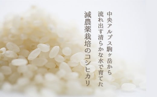 【令和３年産予約受付】減農薬栽培コシヒカリ３０ｋｇ