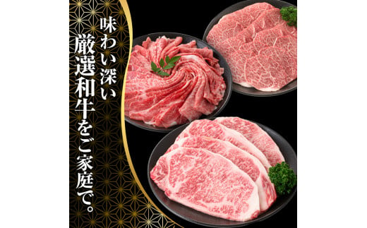 ＜全3回・定期便＞宮崎牛定期便(ロースステーキ・600g、肩焼肉・400g、ワンポンドステーキ・454g)A4 A5 国産 牛肉 精肉 宮崎県産 お肉 黒毛和牛 お取り寄せ 焼き肉 ステーキ【SJ010】【日本ハムマーケティング株式会社】