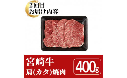 ＜全3回・定期便＞宮崎牛定期便(ロースステーキ・600g、肩焼肉・400g、ワンポンドステーキ・454g)A4 A5 国産 牛肉 精肉 宮崎県産 お肉 黒毛和牛 お取り寄せ 焼き肉 ステーキ【SJ010】【日本ハムマーケティング株式会社】