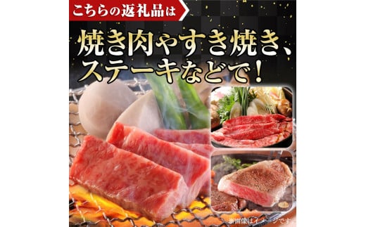 ＜全3回・定期便＞宮崎牛定期便(ロースステーキ・600g、肩焼肉・400g、ワンポンドステーキ・454g)A4 A5 国産 牛肉 精肉 宮崎県産 お肉 黒毛和牛 お取り寄せ 焼き肉 ステーキ【SJ010】【日本ハムマーケティング株式会社】