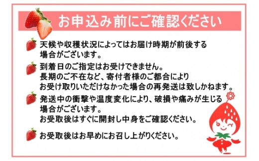 No.1410 Noguchi Farm のおいしいイチゴ 約1200g（300g×4パック）