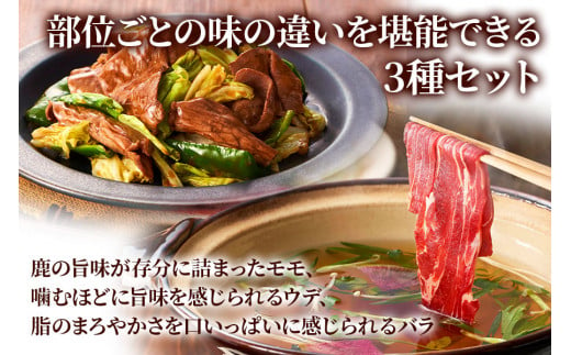 【年内発送】3つの部位が楽しめる「鹿肉スライスセット」(モモ300g×1パック、ウデ300g×1パック、バラ300g×1パック) いろんな料理に使いやすい！[0884] 2024年 年末 年内配送 年内お届け