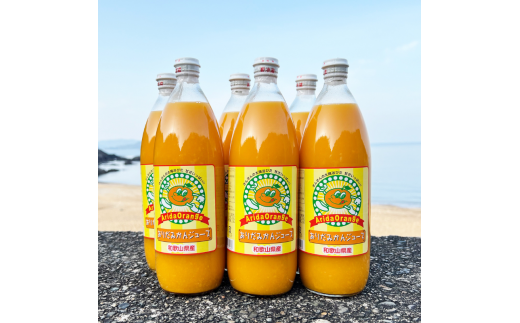 【和歌山県有田産】100%温州みかんジュース (970ml×6本セット)/ジュース みかん  【tss005A】