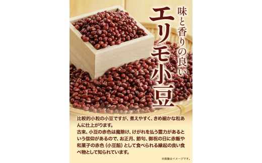 令和６年産 エリモ小豆 1.2kg 北海道十勝 本別町産本別町農業協同組合《11月上旬以降出荷予定》北海道  本別町 豆 小豆 あずき 小豆茶 あずき茶 送料無料