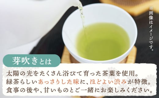 【全3回定期便】「あっさりとした有機栽培茶」さざの 有機栽培茶 芽吹き （100g×3本/回）【宝緑園】 [QAH025]