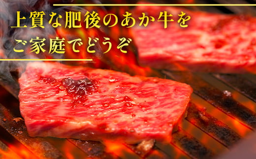 【定期便3回】熊本県産 和牛 肥後のあか牛 焼肉用 500g ×3回 計1.5kg 【 牛肉 焼き肉 定期便 焼肉 やきにく 焼き肉 定期便 3回 熊本県産 黒毛和牛 A5 上質 牛肉 肉 赤身 】 030-0692