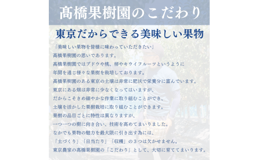 【2024年8月上旬～順次発送】「幻の稲城梨」約3kg