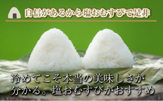 【令和6年産】【定期便／全12回】精米2kg　新潟県魚沼産コシヒカリ「山清水米」十日町市 米