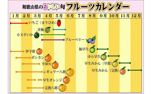 味くらべ梅　6種類の南高梅　各3粒ずつ