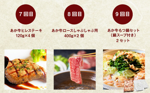 【定期便12回】あか牛 づくし 厳選 食べ比べ (ステーキ 焼肉 しゃぶしゃぶ用 ハンバーグ ローストビーフ もつ鍋セット)