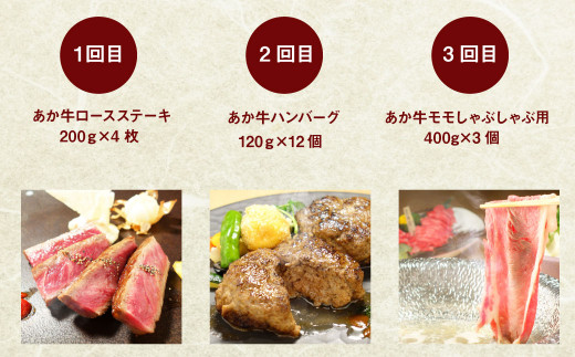 【定期便12回】あか牛 づくし 厳選 食べ比べ (ステーキ 焼肉 しゃぶしゃぶ用 ハンバーグ ローストビーフ もつ鍋セット)