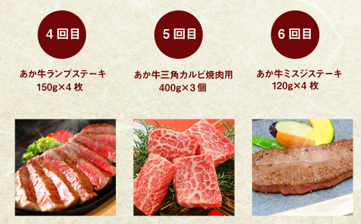 【定期便12回】あか牛 づくし 厳選 食べ比べ (ステーキ 焼肉 しゃぶしゃぶ用 ハンバーグ ローストビーフ もつ鍋セット)