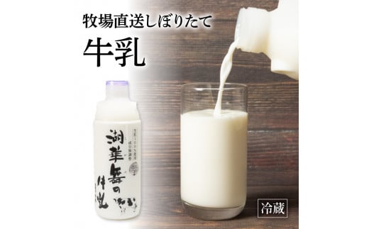 プリン2種 計6個 しぼりたて牛乳 900ml セット ( 牛乳 プリン プレーン 抹茶 冷蔵 デザート おやつ 洋菓子 産地直送  プレゼント ギフト 贈り物 滋賀県 竜王町 古株牧場 湖華舞 )