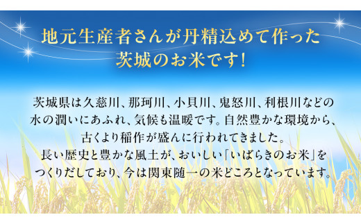 令和6年産 茨城県産 玄米 ミルキークイーン 5kg （5kg×1袋） 新米 米 コメ こめ 単一米 限定 茨城県産 国産 美味しい お米 おこめ おコメ