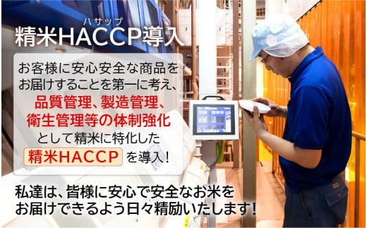 【先行予約】【令和6年産・新米】米 コシヒカリ 計10kg （5kg × 2袋）精米 福井県美浜町産 【2024年12月下旬発送予定】 [m60-a014_12]