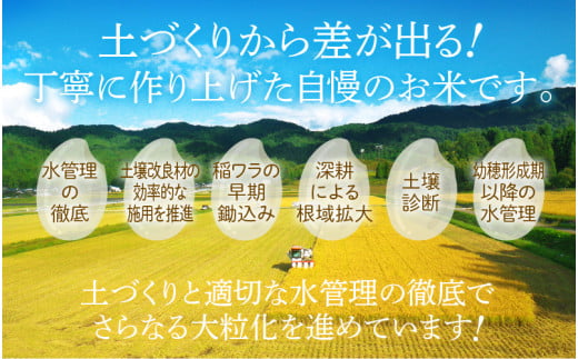 【先行予約】【令和6年産・新米】米 コシヒカリ 計10kg （5kg × 2袋）精米 福井県美浜町産 【2024年12月下旬発送予定】 [m60-a014_12]