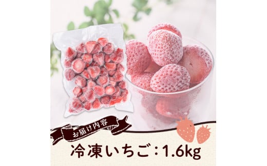 訳あり いちごの王様【あまおう】冷凍いちご (計1.6kg) 苺 いちご あまおう フルーツ 果物 冷凍 数量限定＜離島配送不可＞【ksg1322】【よっちゃんファーム】