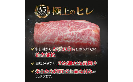 飛騨牛 ステーキ 豪華セット ヒレ 150g×8枚 サーロイン 180g×5枚 計2.1kg 和牛 牛肉 ブランド牛 BBQ バーベキュー 贈り物 贈答 ギフト キャンプ アウトドア  炭火  ヘレ フィレ