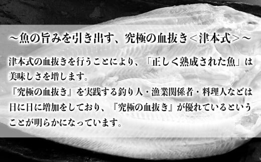 【先行受付】2024年4月より順次発送　津本式仕立て ほっけ一夜干し 3枚セット＜新岡鮮魚店＞