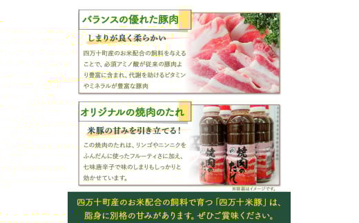 四万十町産の米で育ったブランド豚「しまんと米豚焼き肉セット」800g（400g×2） Qjs-02 国産 ぶた肉 豚肉 肉 お肉 国産豚肉 国産ぶた肉 焼肉 BBQ バラ肉 肩ロース たれ 冷蔵