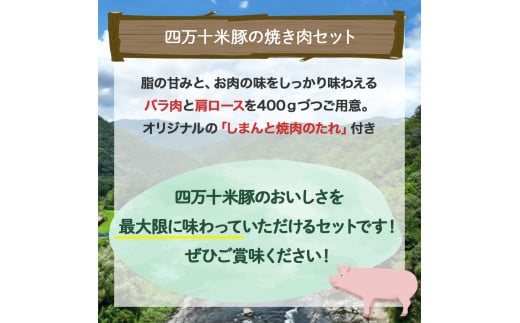 四万十町産の米で育ったブランド豚「しまんと米豚焼き肉セット」800g（400g×2） Qjs-02 国産 ぶた肉 豚肉 肉 お肉 国産豚肉 国産ぶた肉 焼肉 BBQ バラ肉 肩ロース たれ 冷蔵