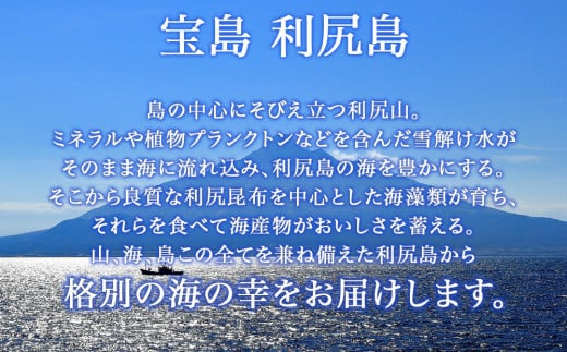 北海道 利尻島産 甘口一塩ほっけ 8尾＜利尻漁業協同組合＞