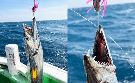 ノリノリ太刀魚 ベイトキーパー付 シングル 選べる3点セット 多治見市 / ヤマワ産業 YAMAWA 釣り具 釣具 太刀魚釣り タチウオ釣り 天秤タチウオ 船仕掛け [TFX008]