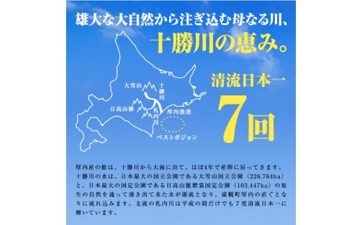 浦幌町厚内産 手造り鮭の飯寿司500g