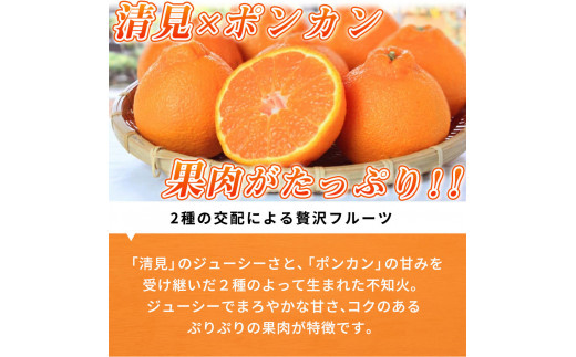 【先行予約】紀州有田産不知火(しらぬひ) 2.5kg ※2025年2月中旬頃～3月中旬頃に順次発送予定（お届け日指定不可）/ みかん 不知火 和歌山 フルーツ 有田【uot794】