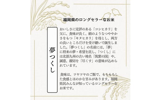 【無洗米】夢つくし 《真空パック》10kg(1kg×10本) 福岡県産 [a0552] 株式会社 ゼロプラス 【返礼品】添田町 ふるさと納税