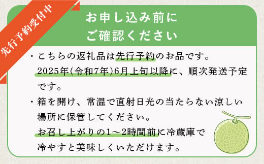 【2025年6月上旬〜順次発送 先行予約】大玉 肥後グリーンメロン 2玉 約4.6kg以上 熊本県産【 果物 フルーツ グリーンメロン 先行予約 4.6kg 青肉 期間限定 数量限定 熊本県 多良木町 】 101-0001