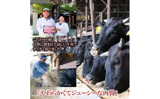 福岡県産　黒毛和牛 A4ランク以上の博多和牛！ おすすめ3点セット【牛肉 肉 博多和牛 和牛 黒毛和牛 A4 国産 福岡 九州 博多 福岡県 大任町 Z008】