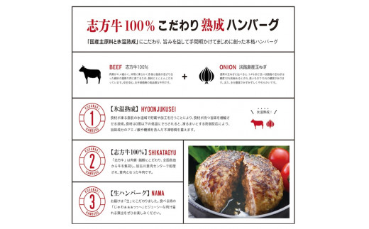 【国産】志方牛100%のこだわり熟成ハンバーグ150g×4個《 ハンバーグ 国産 牛肉 100% 牛 こだわり セット 冷凍 肉 惣菜 お取り寄せ グルメ おかず ギフト 送料無料 》【2400I05940】