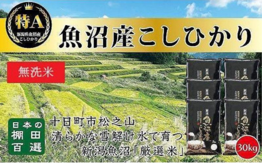 【令和6年産新米予約】日本棚田百選のお米 無洗米 天空の里 魚沼産 こしひかり 30kg(5kg×6)