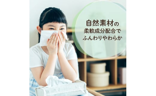 定期便 3ヵ月連続お届け エリエール [アソートI] なまらたっぷり 大容量 トイレットペーパー ティッシュ トイレ ボックスティッシュ 防災 常備品 備蓄品 消耗品 日用品 生活必需品 送料無料 赤平市