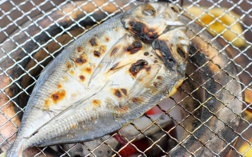 季節のおすすめ干物セットA  三重県紀宝町産 ※季節によって内容が異なります / ひもの 干物 みりん干し 開き 丸干し 詰め合わせ イカ さんま カマス しらす いわし アジ 冷蔵