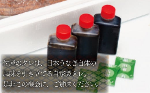 【最短７営業日以内出荷】うなぎ蒲焼 3尾セット（合計600g以上） F-124