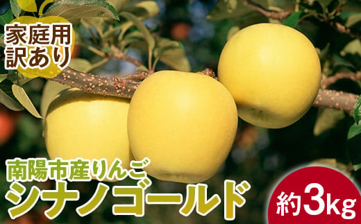 【令和6年産先行予約】 〈訳あり品 家庭用〉 りんご ｢シナノゴールド｣ 約3kg (8～12玉前後) 《令和6年10月中旬～発送》 『平農園』 リンゴ 果物 フルーツ 産地直送 生産農家直送 山形県 南陽市 [1647]