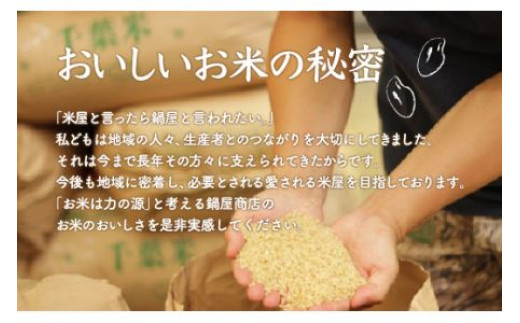 【新米】令和6年産 2年連続特A評価!千葉県産コシヒカリ25kg（5kg×5袋） ふるさと納税 米 25kg 千葉県産 大網白里 コシヒカリ 精米 こめ 送料無料