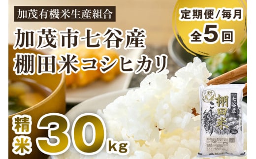 【令和6年産新米先行予約】【定期便5ヶ月毎月お届け】新潟県加茂市 七谷産 棚田米コシヒカリ 精米30kg（5kg×6） 白米 加茂有機米生産組合