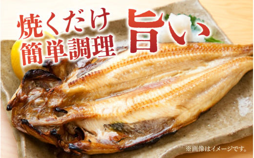 【定期便】若狭の味 干物詰合せ（奇数月） 全6回