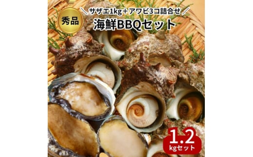 秀品 サザエ 1kg 蝦夷 アワビ 3個 海鮮 BBQ セット 贅沢 詰め合わせ 冷凍 生食可能 新鮮 詰合せ サザエ 海鮮バーベキュー サザエ アワビ 冷凍 貝 アワビ 海鮮 魚貝 サザエ バーベキュー BBQ アワビ 天然 刺身 アワビ 高級 厳選 鮑 サザエ 肝 焼き 刺し身 ふるさと納税貝 貝刺し身 ふるさと納税刺し身 サザエ アワビ 人気 おすすめ 愛知県 南知多町