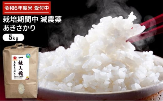 令和6年産 栽培期間中減農薬 あきさかり 5kg　玄米[№5580-7057]0789