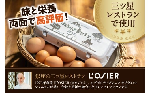 平飼いで のびのび！ばあちゃんの昔たまご（計20個）割れ保証あり 129-B662