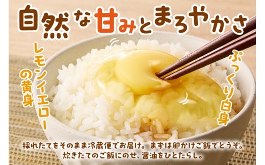 平飼いで のびのび！ばあちゃんの昔たまご（計20個）割れ保証あり 129-B662