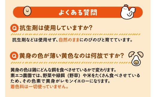 平飼いで のびのび！ばあちゃんの昔たまご（計20個）割れ保証あり 129-B662