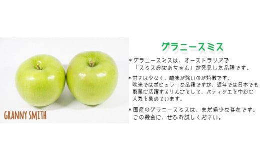 りんご グラニースミス 特選 3kg やまじゅうファーム 沖縄県への配送不可 2024年12月中旬頃から2025年1月下旬頃まで順次発送予定 令和6年度収穫分 信州の環境にやさしい農産物 減農薬栽培 長野県 飯綱町 [0530]